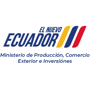 Inicio recurso 61aliados