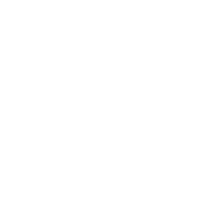 Inicio recurso 63aliados