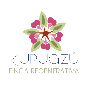 Inicio recurso 74aliados