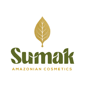 Inicio recurso 81aliados